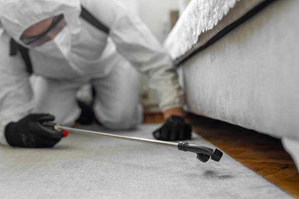 Professional Emergency Pest Control technician working in Briarcliff Manor, NY